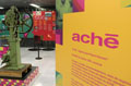 LEN | Comunica��o e Branding - Ach�